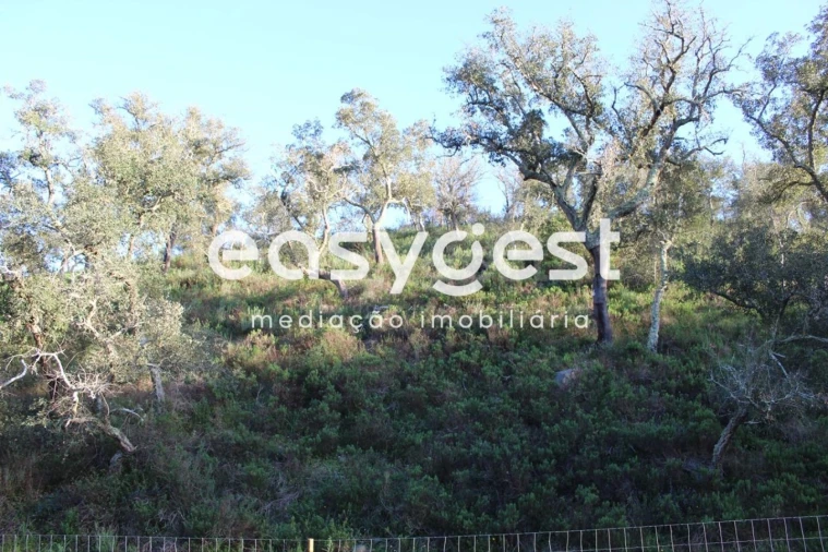 Terreno Agricola ou Rústico para Venda em Santa Clara-A-Nova e Gomes Aires Foto 7