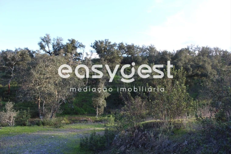 Terreno Agricola ou Rústico para Venda em Santa Clara-A-Nova e Gomes Aires Foto 8