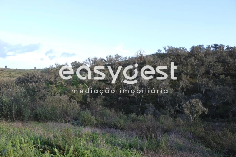 Terreno Agricola ou Rústico para Venda em Santa Clara-A-Nova e Gomes Aires Foto 9