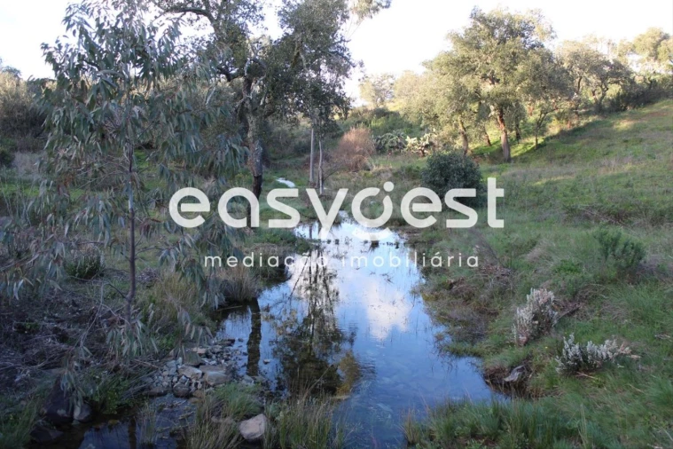 Terreno Agricola ou Rústico para Venda em Santa Clara-A-Nova e Gomes Aires Foto 10