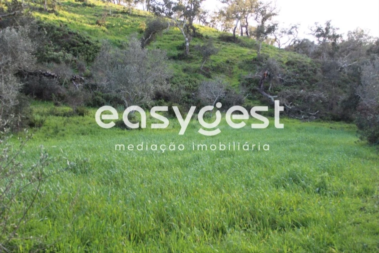 Terreno Agricola ou Rústico para Venda em Santa Clara-A-Nova e Gomes Aires Foto 14