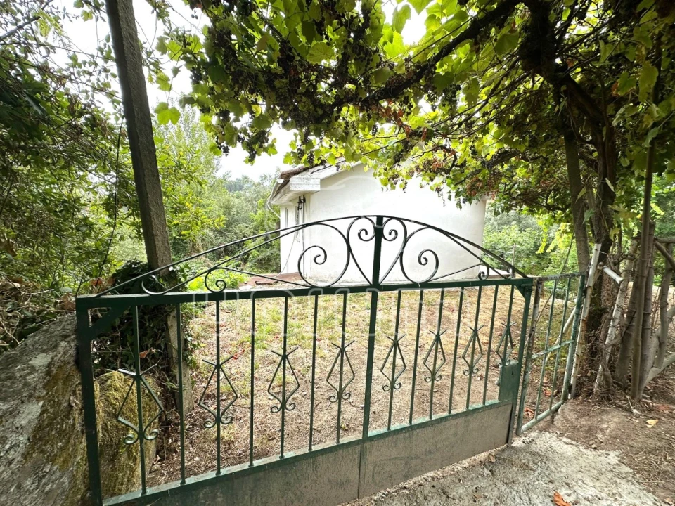 Quinta T2 para Venda em Couto Foto 6