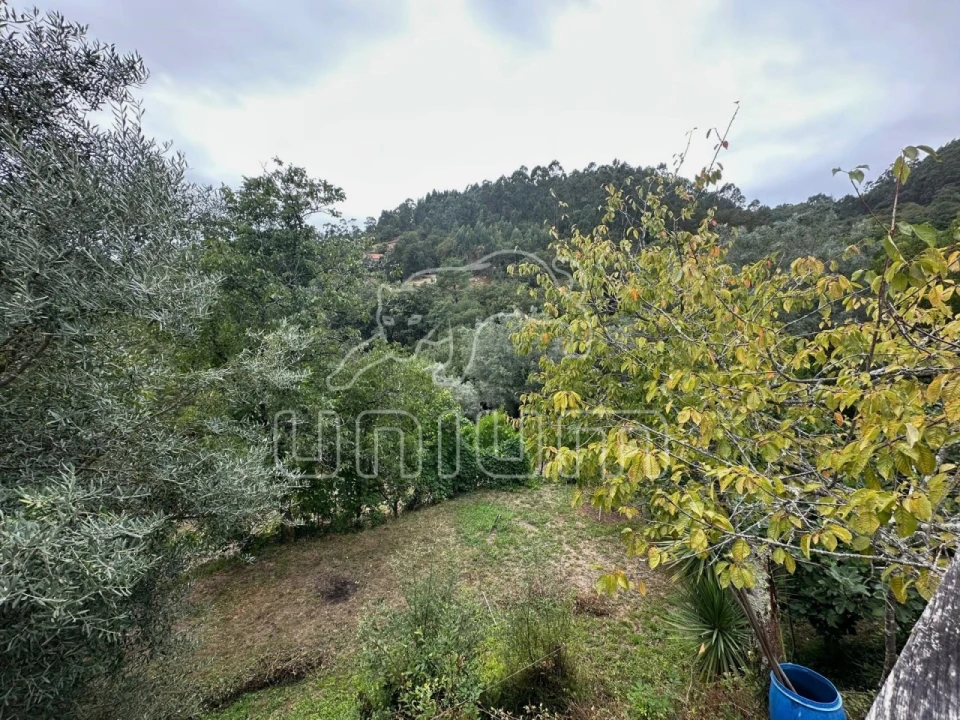 Quinta T2 para Venda em Couto Foto 23