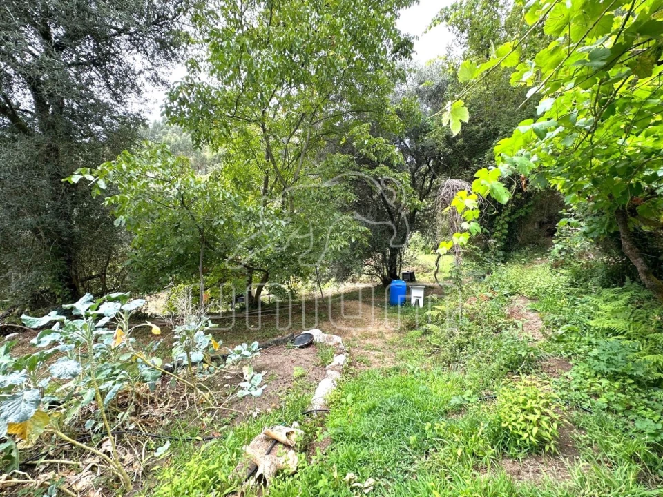 Quinta T2 para Venda em Couto Foto 24