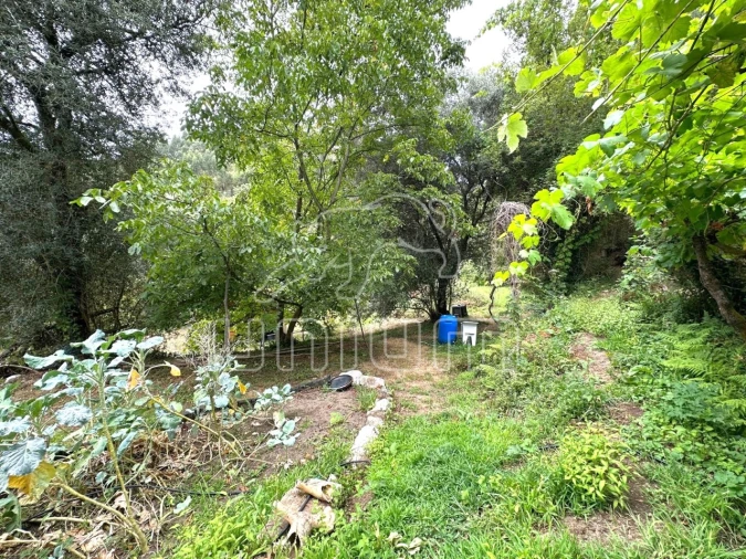 Quinta T2 para Venda em Couto Foto 24