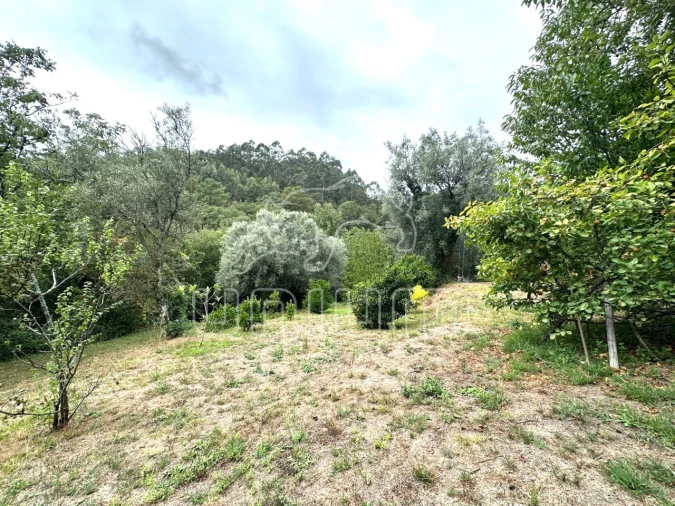 Quinta T2 para Venda em Couto Foto 25