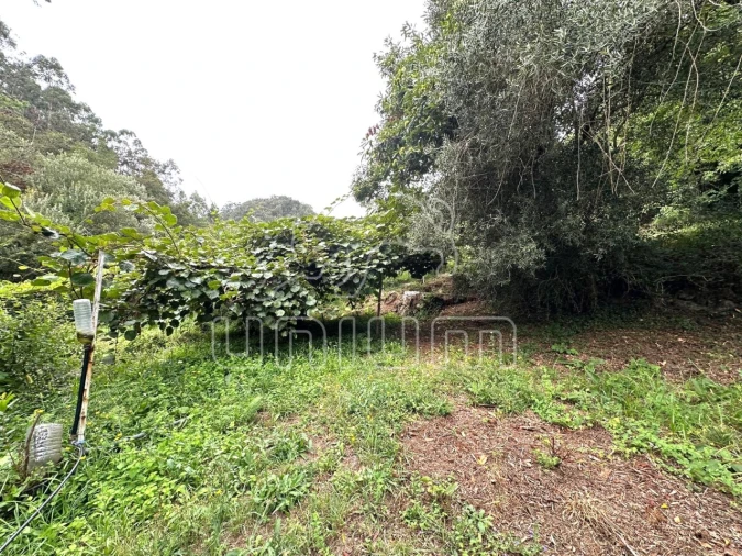 Quinta T2 para Venda em Couto Foto 26