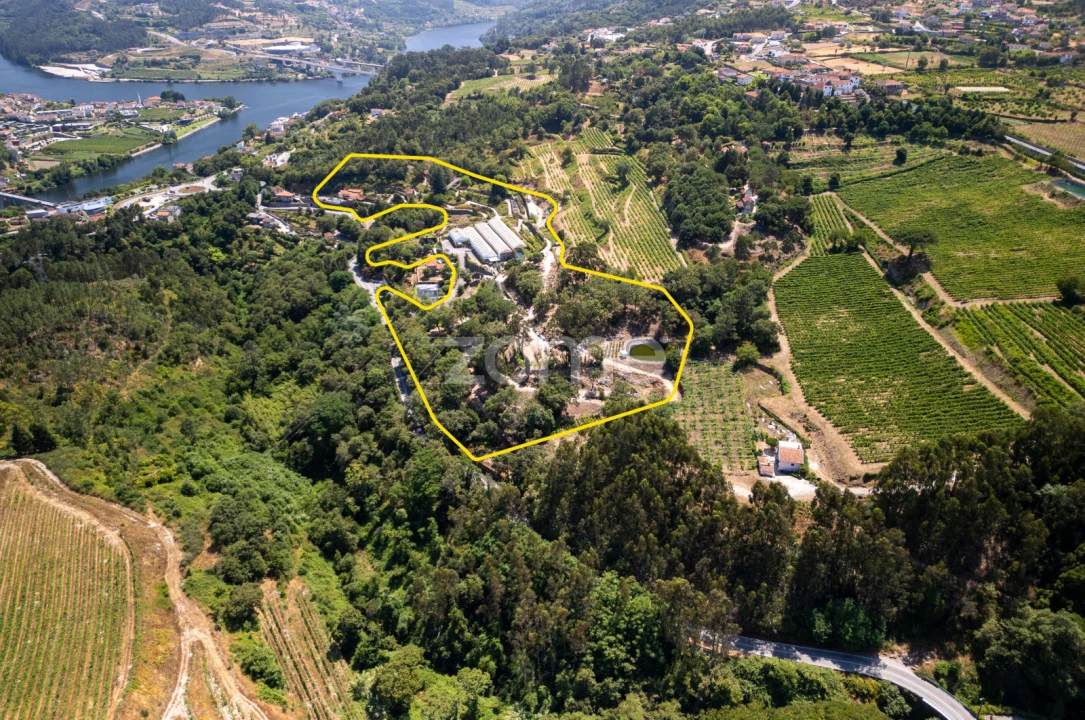Quinta T5 para Venda em Eja Foto 26