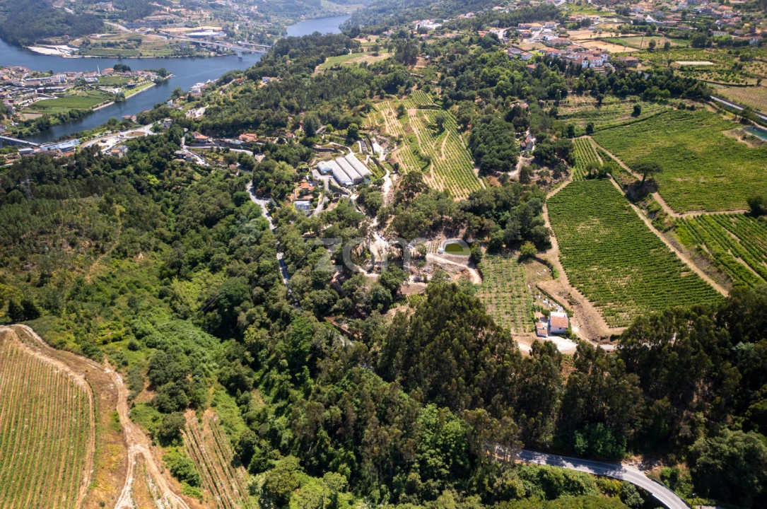 Quinta T3 para Venda em Rio de Moinhos Foto 2