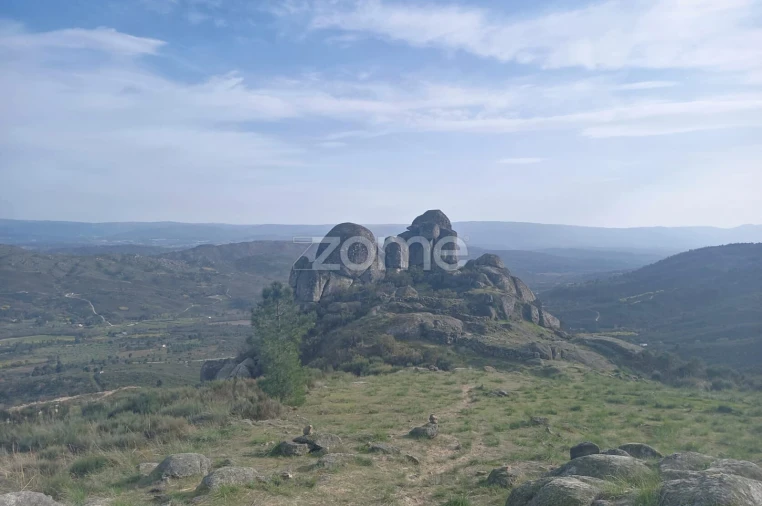 Quinta T10 para Venda em Queiriz Foto 54