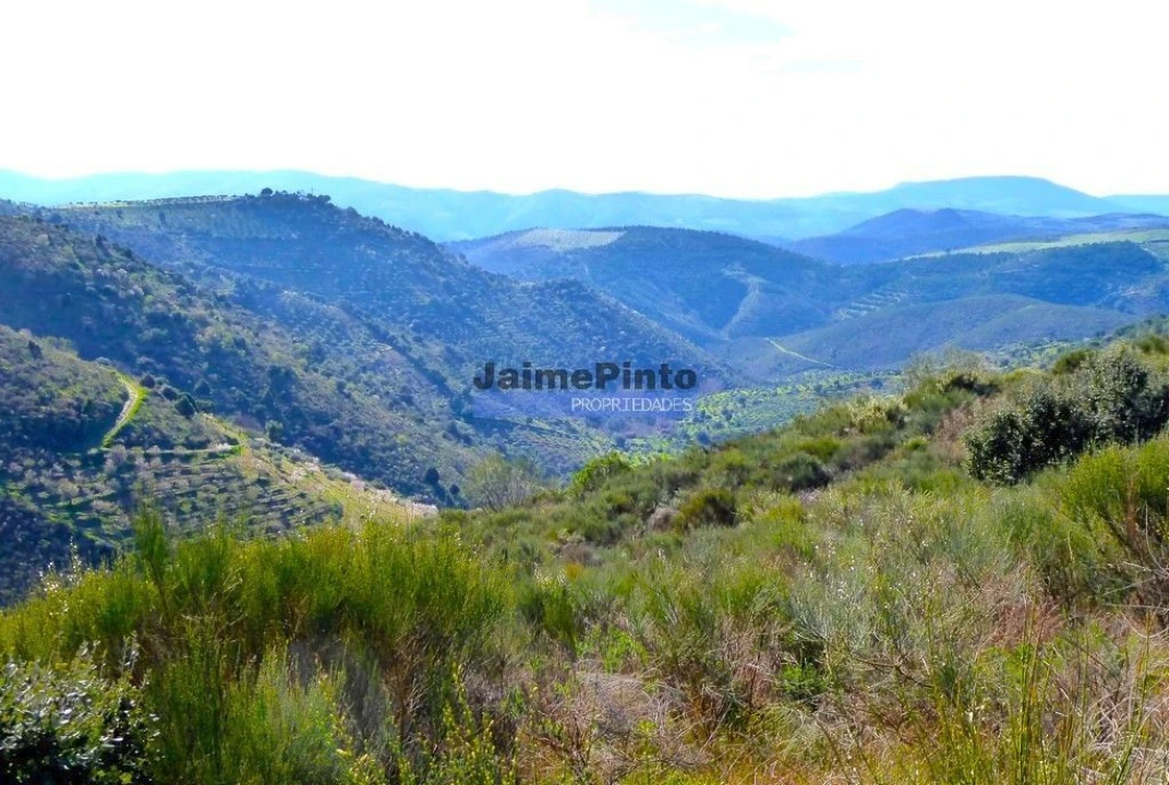 Terreno Agricola ou Rústico para Venda em Cerejais Foto 2