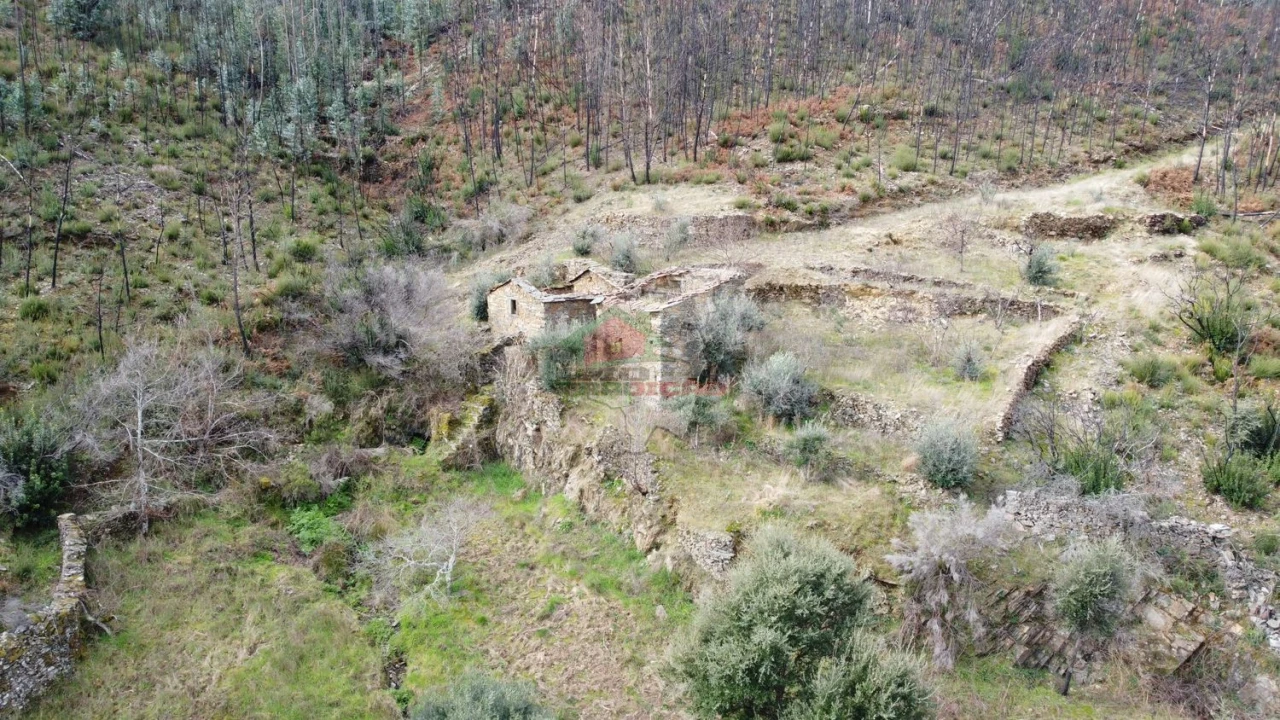 Terreno para Venda em Troviscal Foto 41