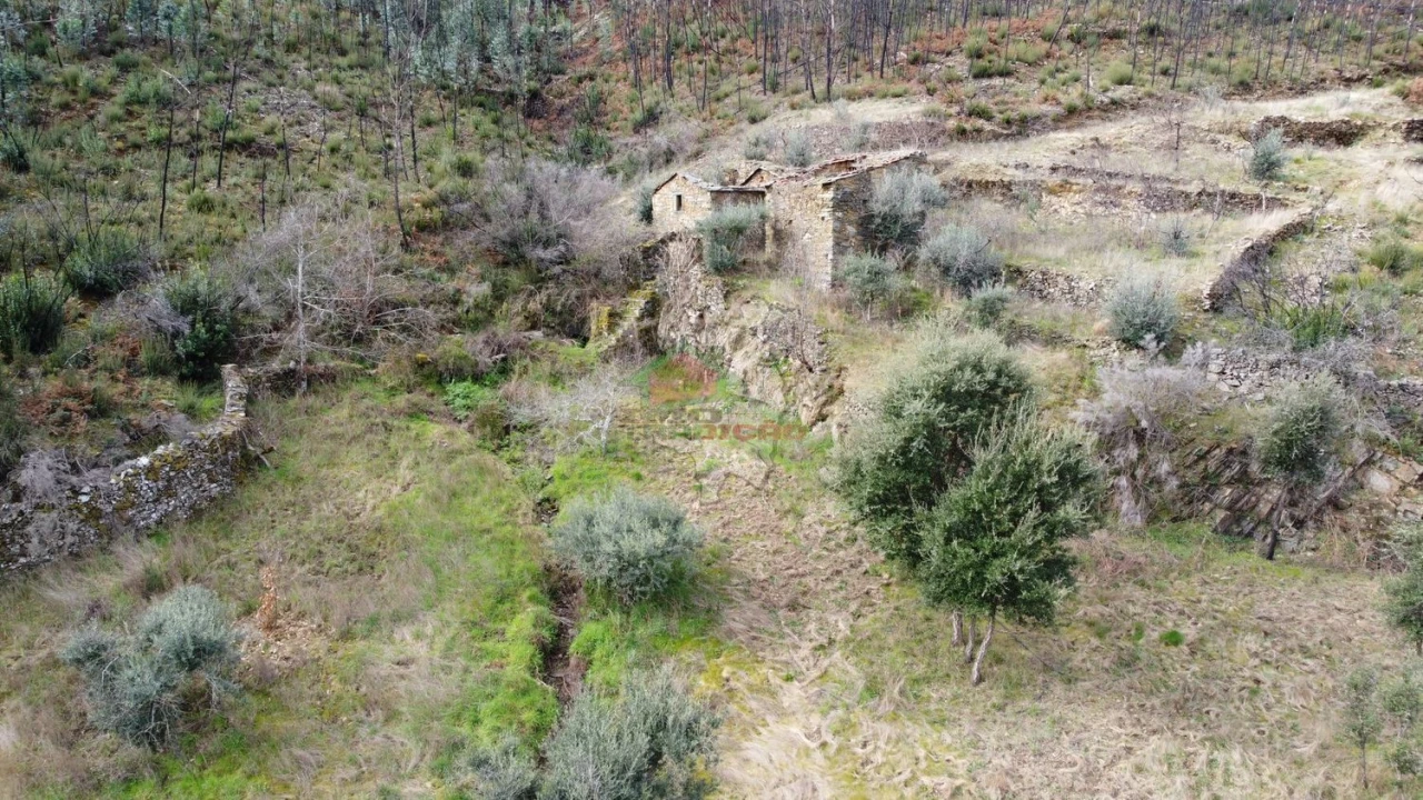 Terreno para Venda em Troviscal Foto 3