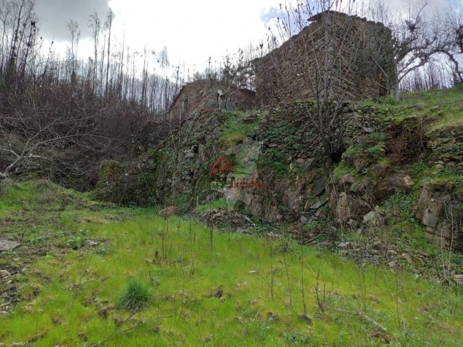 Terreno para Venda em Troviscal Foto 38