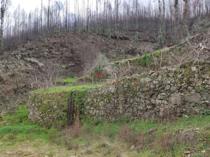 Terreno para Venda em Troviscal Foto 21