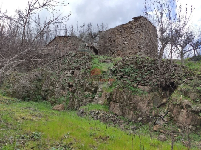 Terreno para Venda em Troviscal Foto 29