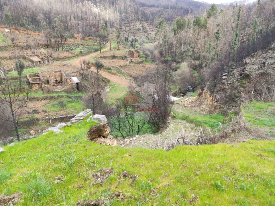 Terreno para Venda em Troviscal Foto 26