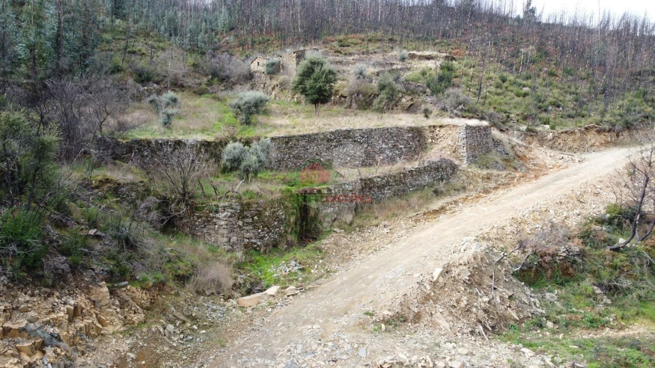 Terreno para Venda em Troviscal Foto 2
