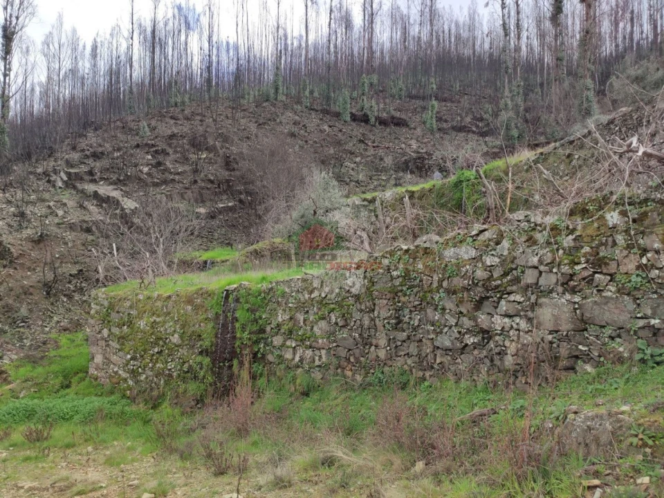 Terreno para Venda em Troviscal Foto 21