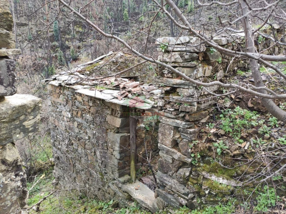 Terreno para Venda em Troviscal Foto 31