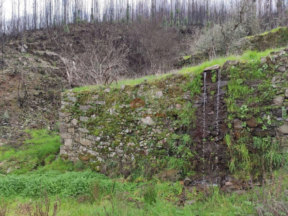Terreno para Venda em Troviscal Foto 16