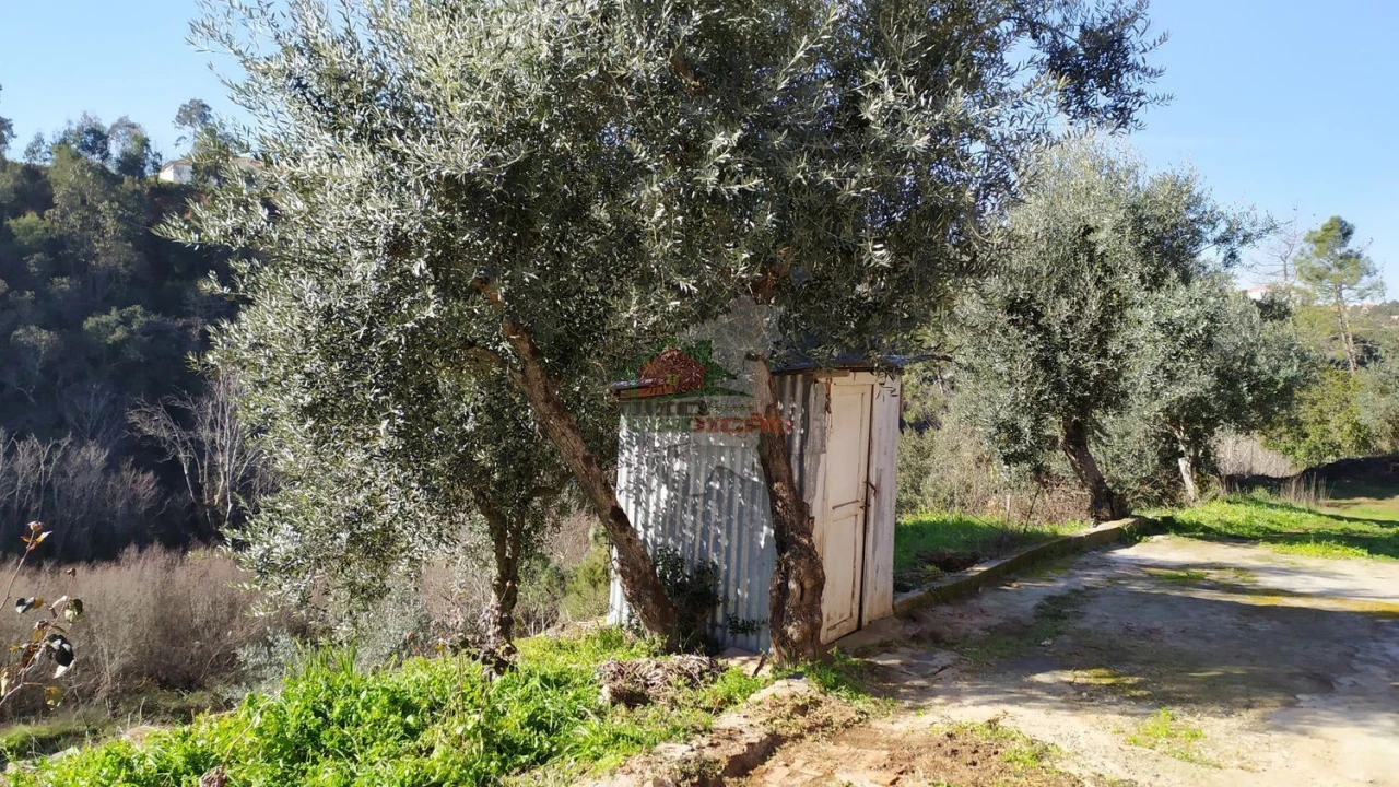 Quinta T0 para Venda em Sertã Foto 13