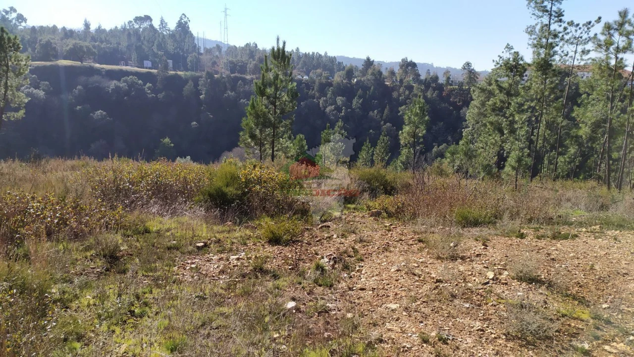 Quinta T0 para Venda em Sertã Foto 17