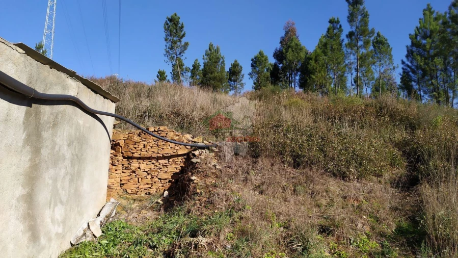 Quinta T0 para Venda em Sertã Foto 14