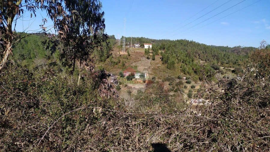 Quinta T0 para Venda em Sertã Foto 20