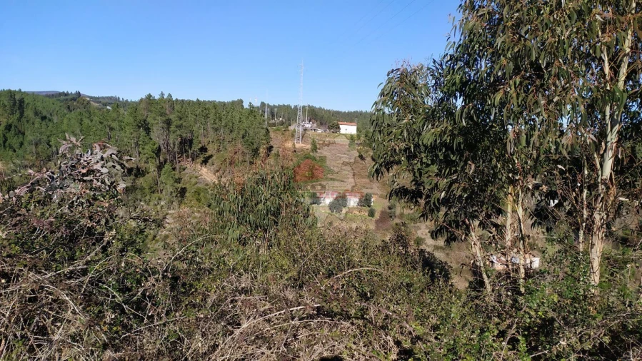 Quinta T0 para Venda em Sertã Foto 21