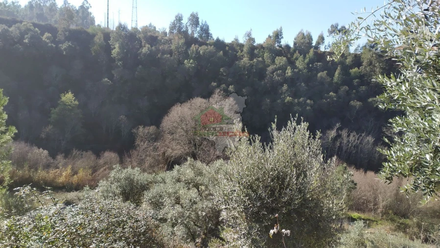 Quinta T0 para Venda em Sertã Foto 15