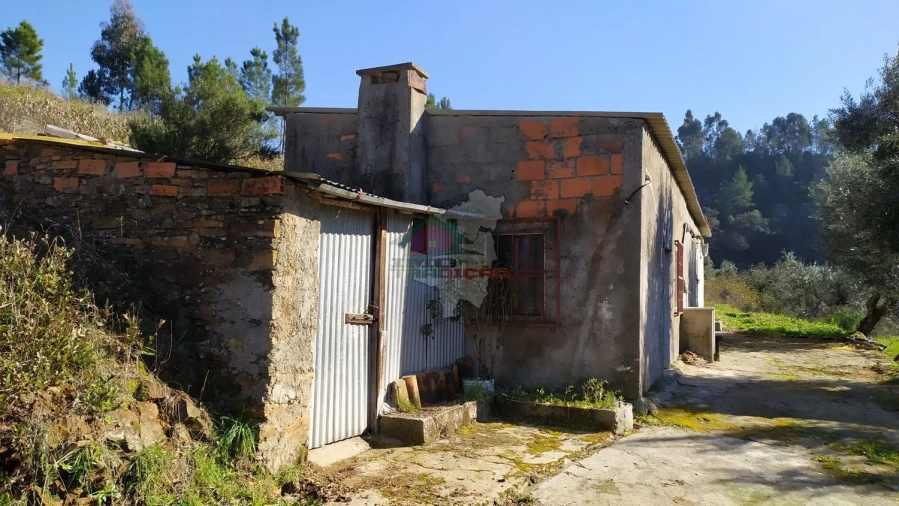 Quinta T0 para Venda em Sertã Foto 2