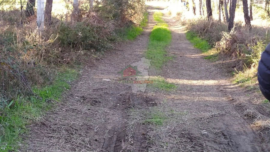 Quinta T0 para Venda em Sertã Foto 5