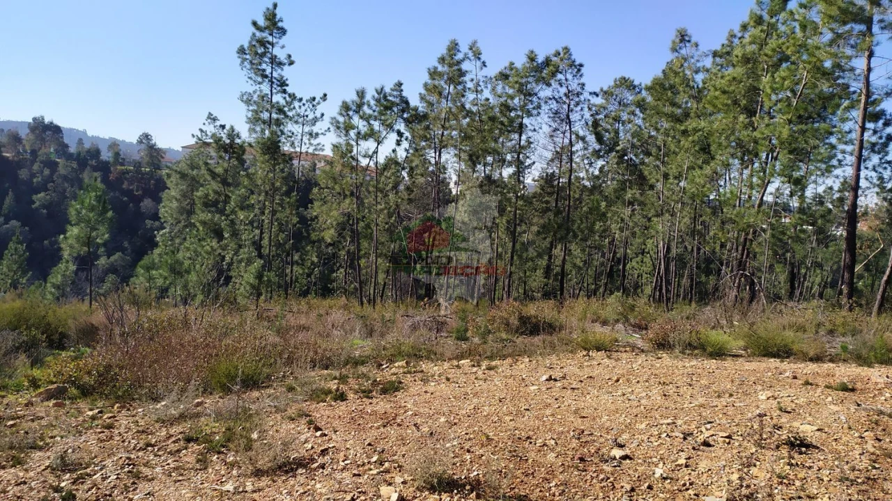 Quinta T0 para Venda em Sertã Foto 18