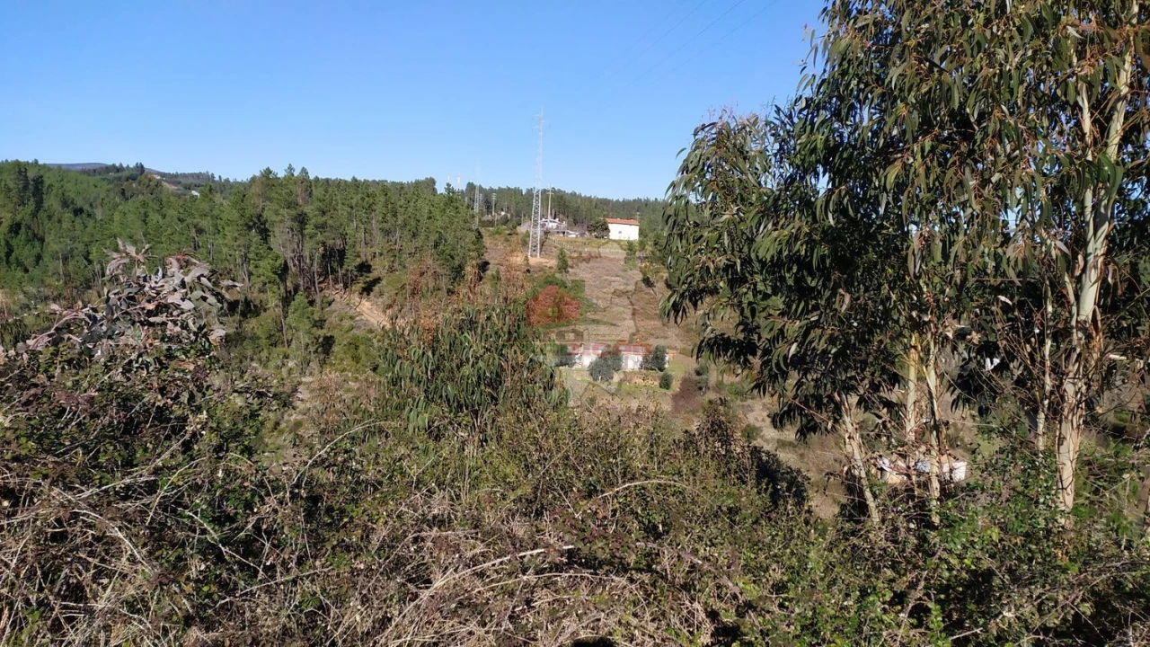 Quinta T0 para Venda em Sertã Foto 21