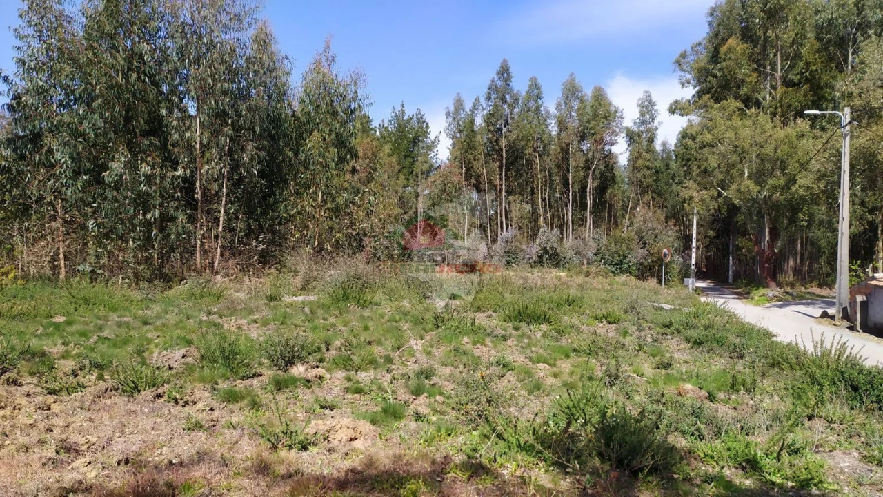 Terreno para Venda em Pedrogão Pequeno Foto 6