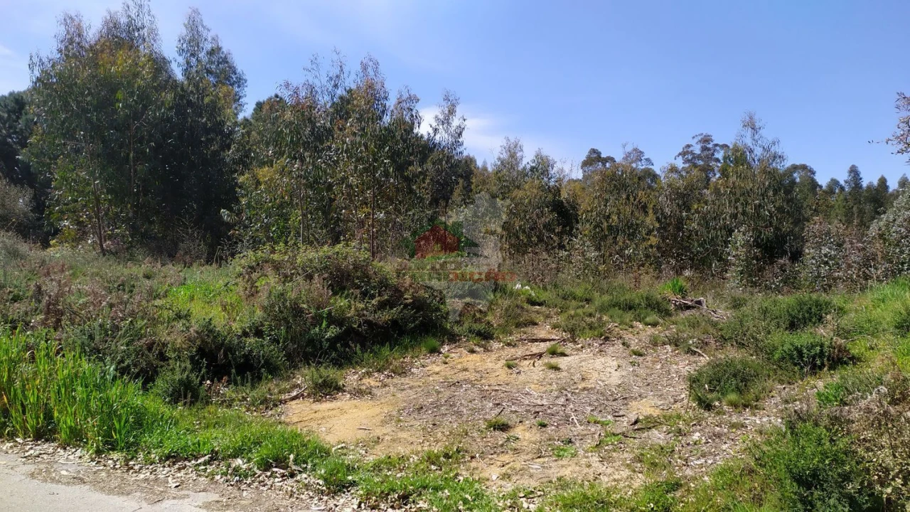 Terreno para Venda em Pedrogão Pequeno Foto 1