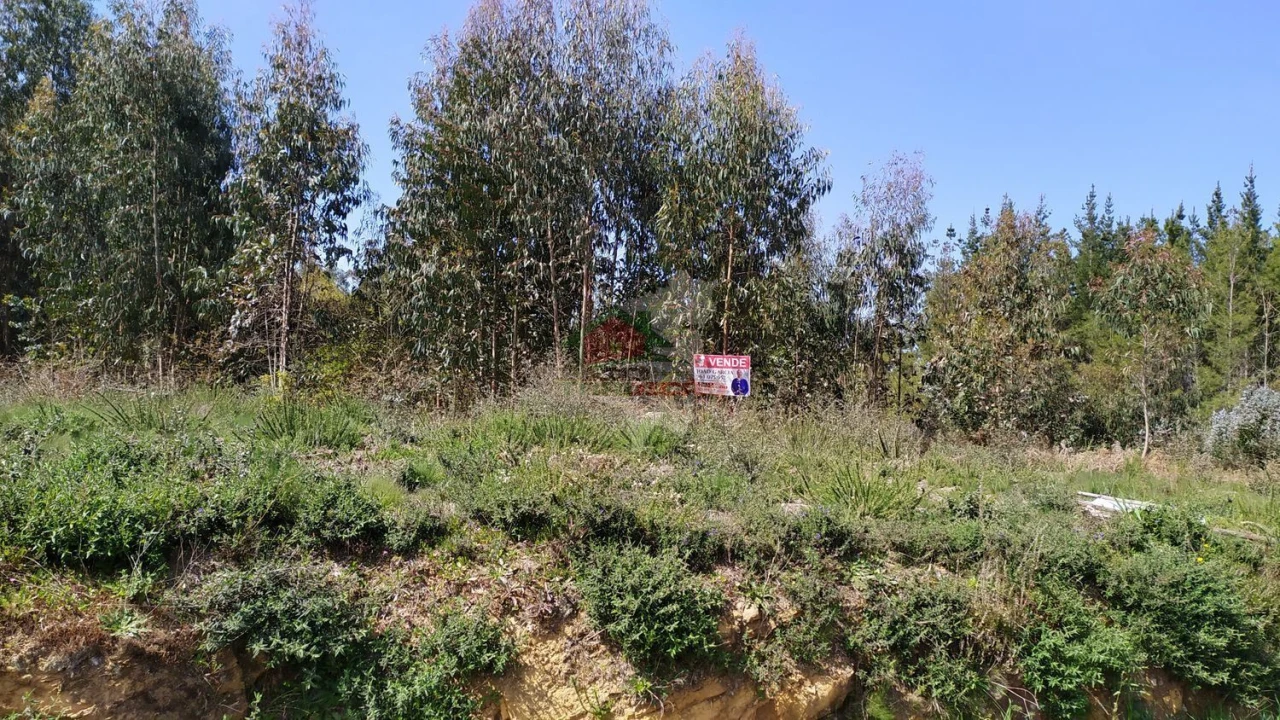 Terreno para Venda em Pedrogão Pequeno Foto 11