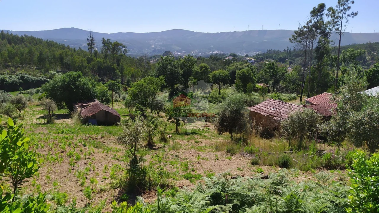 Terreno para Venda em Castanheira de Pêra e Coentral Foto 25