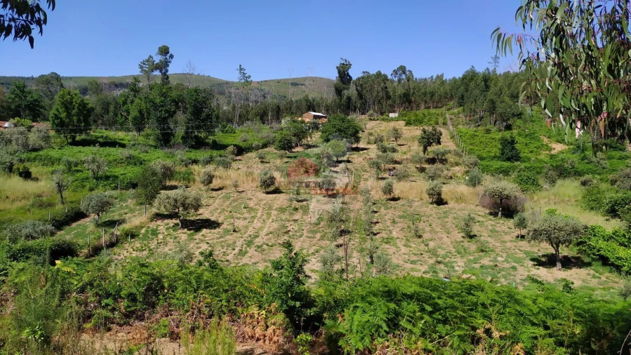 Terreno para Venda em Castanheira de Pêra e Coentral Foto 4