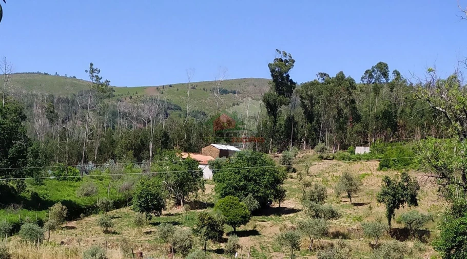Terreno para Venda em Castanheira de Pêra e Coentral