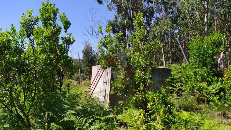 Terreno para Venda em Castanheira de Pêra e Coentral Foto 39