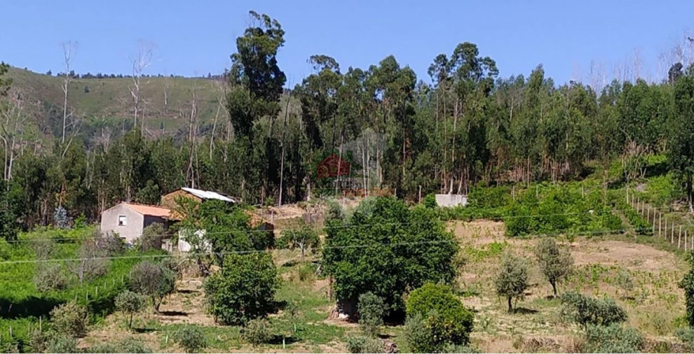 Terreno para Venda em Castanheira de Pêra e Coentral Foto 2