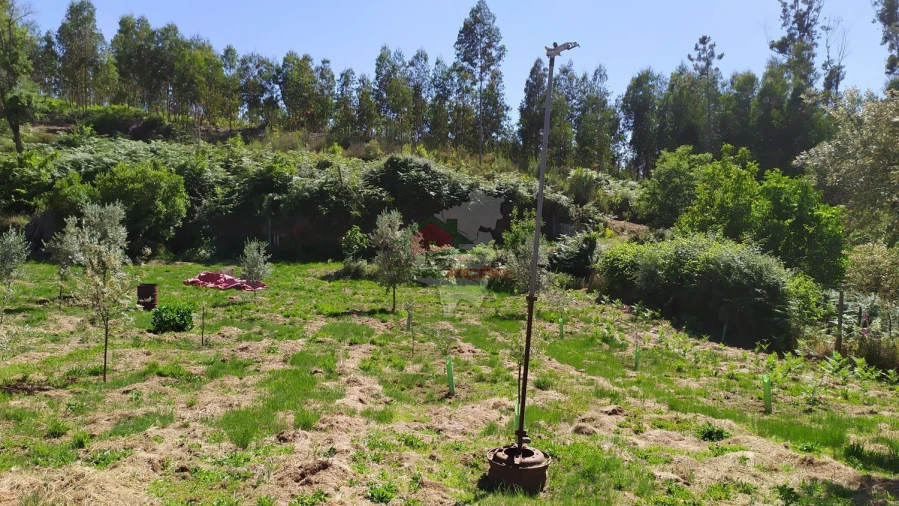 Terreno para Venda em Castanheira de Pêra e Coentral Foto 46