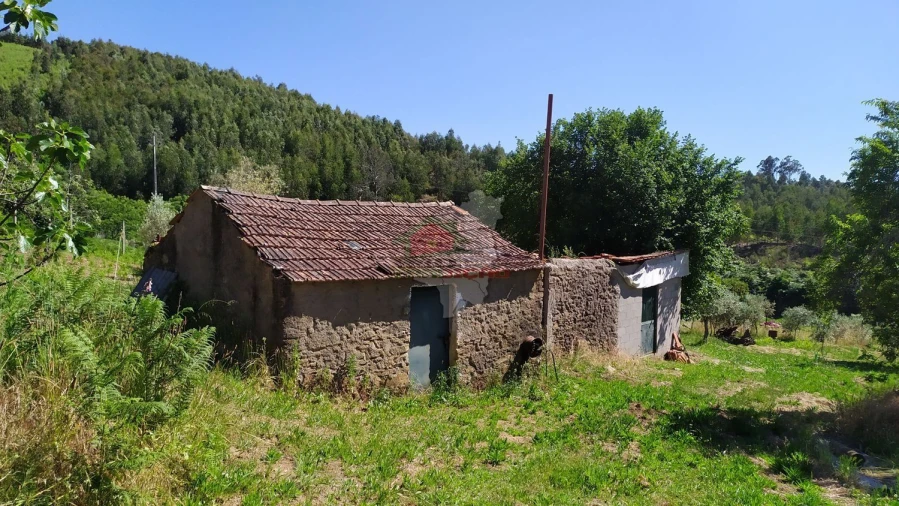 Terreno para Venda em Castanheira de Pêra e Coentral Foto 28