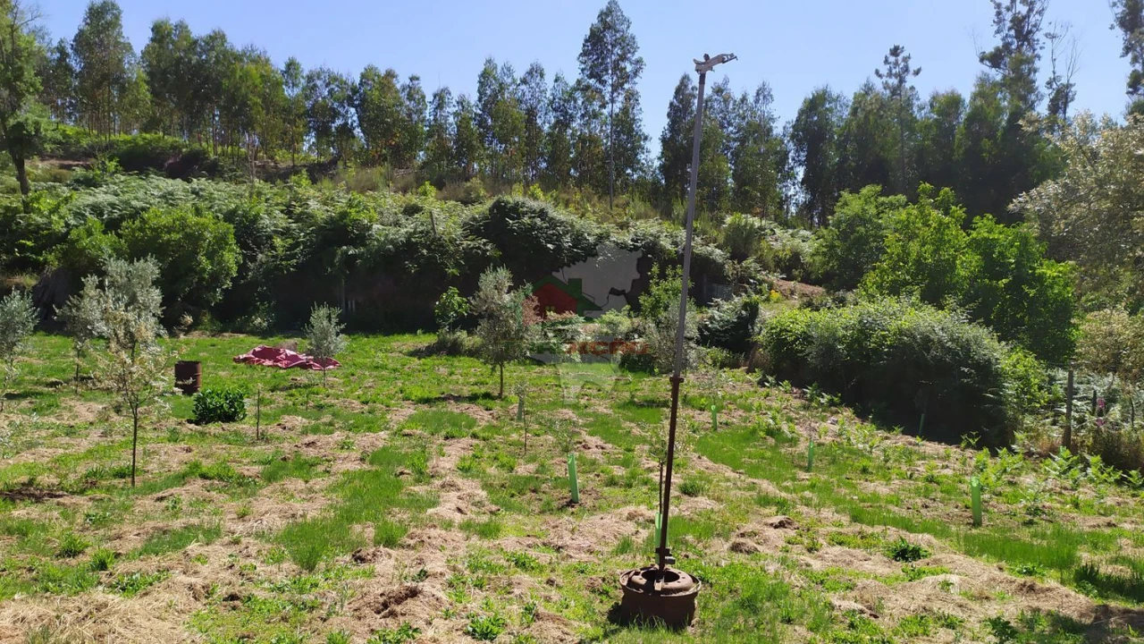 Terreno para Venda em Castanheira de Pêra e Coentral Foto 46