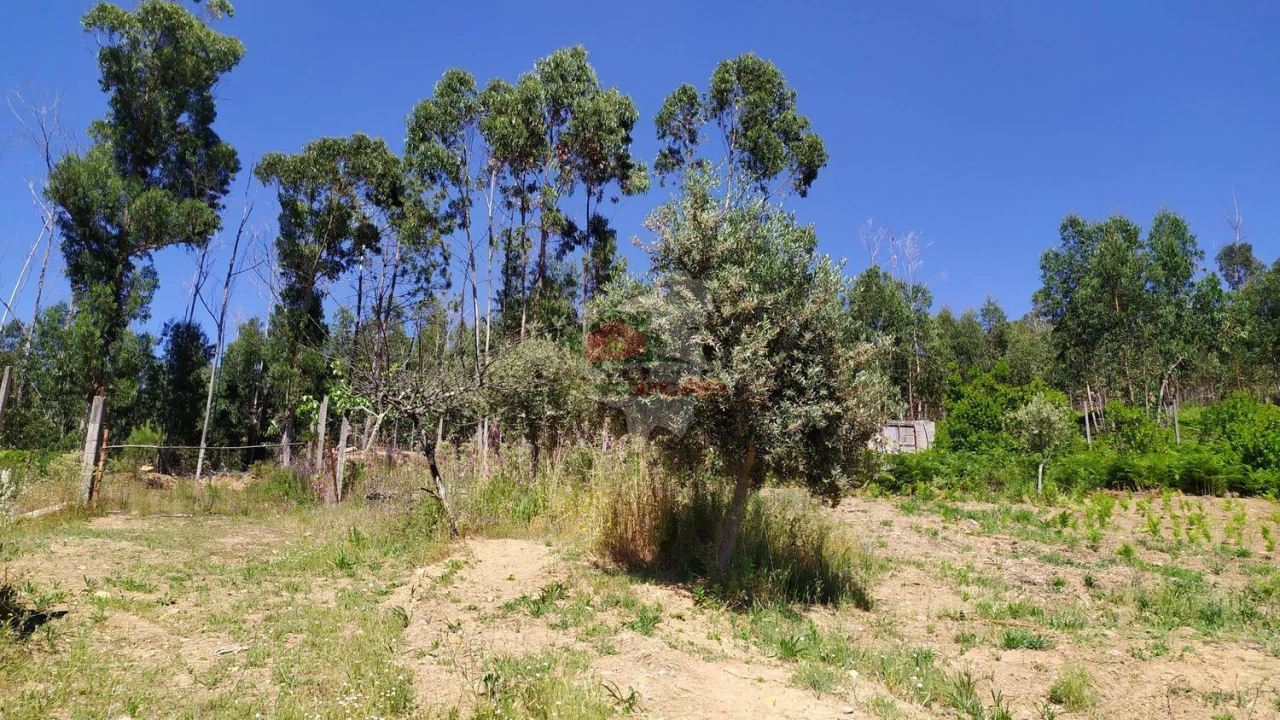 Terreno para Venda em Castanheira de Pêra e Coentral Foto 41
