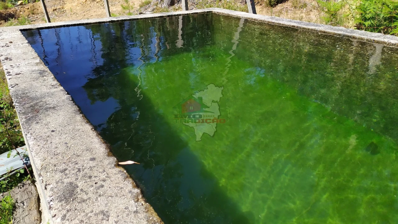 Terreno para Venda em Castanheira de Pêra e Coentral Foto 38