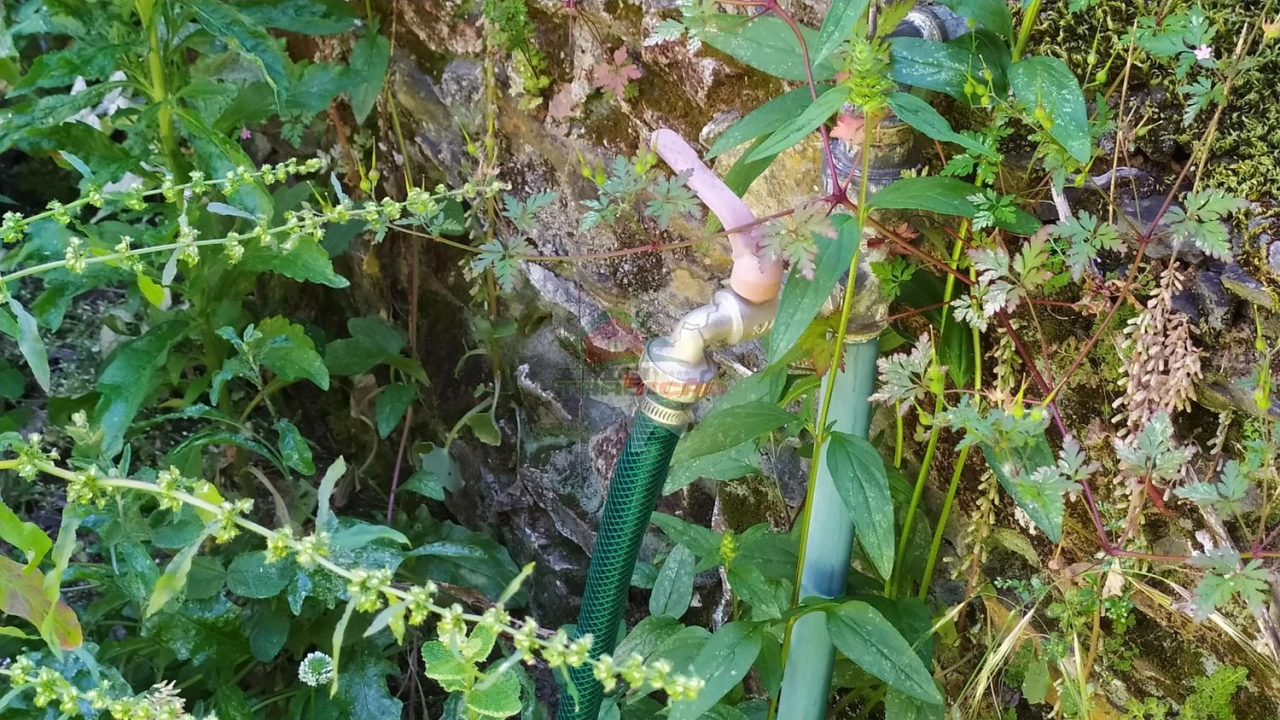 Terreno para Venda em Castanheira de Pêra e Coentral Foto 31
