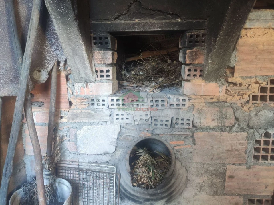 Moradia T4 para Venda em Sobreira Formosa e Alvito da Beira Foto 54